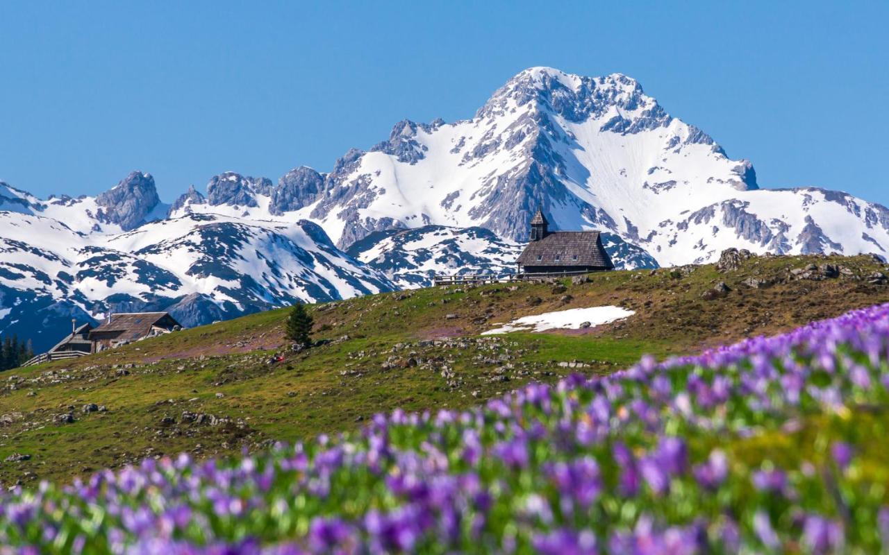 Koca Kronca - Velika Planina Стаховица Экстерьер фото