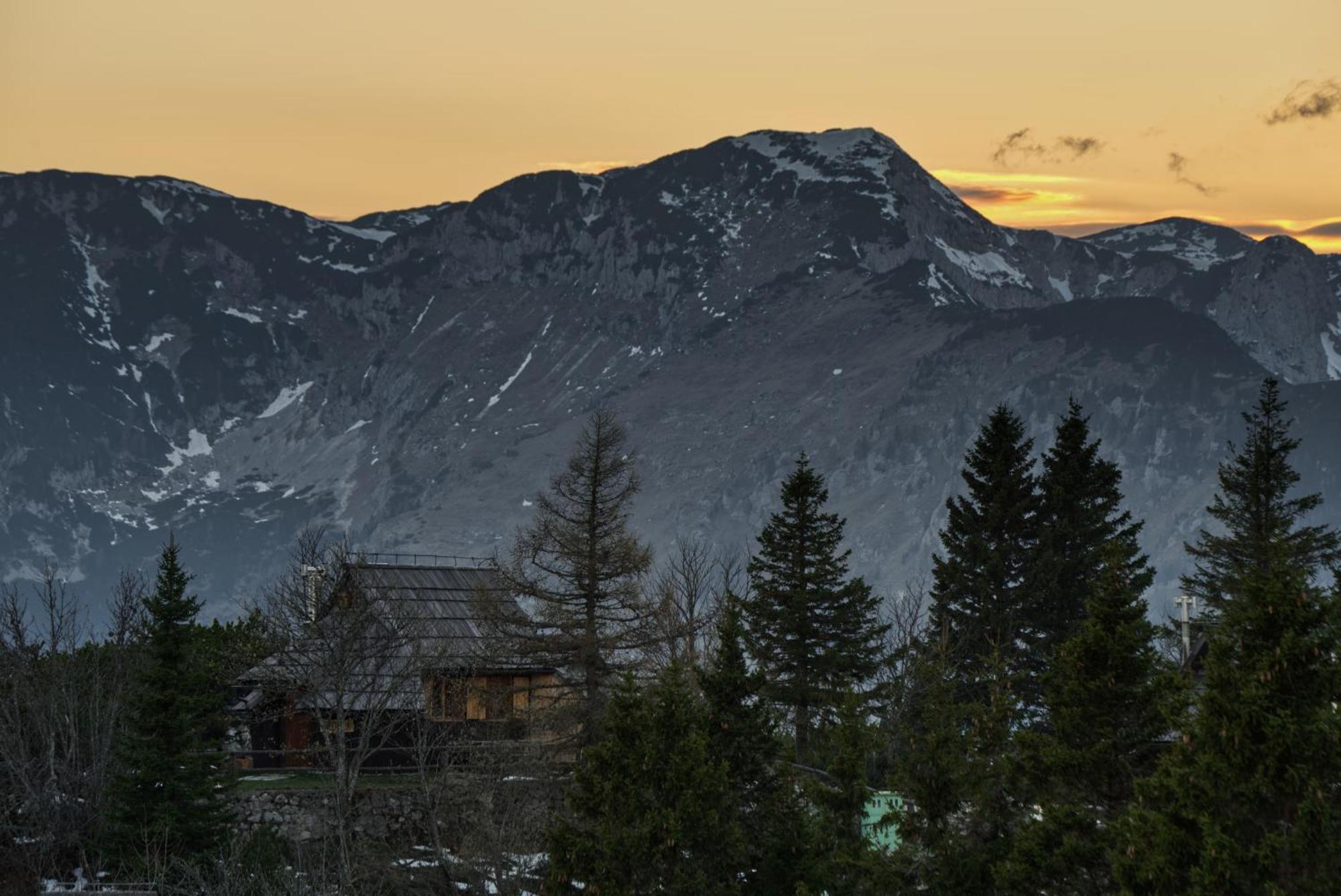 Koca Kronca - Velika Planina Стаховица Экстерьер фото